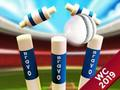 Jogo Mini Cricket: Campeonato de Solo Copa do Mundo 2019  online