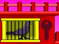 Jogo Fuga do Pombo Preto  online