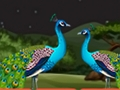 Jogo Fuga de casal de papagaios  online
