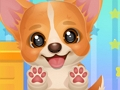 Jogo Adote seu cachorrinho de estimação  online