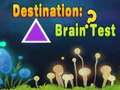 Jogo Destino: Brain Test  online