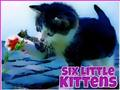 Jogo Seis gatinhos  online