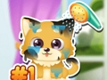 Jogo Cuidados engraçados para cachorros  online