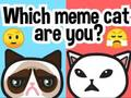 Jogo Qual gato meme você é?  online