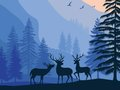 Jogo Paraíso Paisagístico Escondido  online