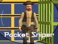 Jogo Atirador de bolso  online