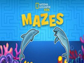 Jogo Labirintos Nat Geo Kids  online