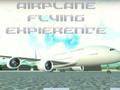 Jogo Experiência de voo de avião  online
