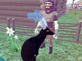 Jogo Simulador de Cervos 3D  online
