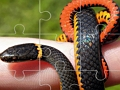 Jogo Quebra-cabeça de cobras  online