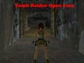 Jogo Tomb Raider Abrir Lara  online