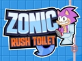 Jogo Sanita Sonic Rush  online