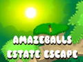 Jogo Fuga da propriedade de Amazeballs  online