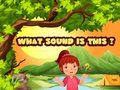 Jogo Que som é esse?  online