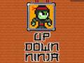 Jogo Ninja de cima para baixo  online