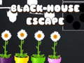 Jogo Fuga da Casa Negra  online