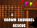 Jogo Resgate do Esquilo Marrom  online