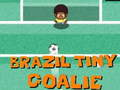 Jogo Goleiro do brasil  online