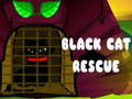 Jogo Resgate do Gato Preto  online
