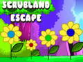 Jogo Fuga do Cerrado  online