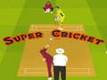 Jogo Super críquete  online