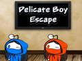 Jogo Fuga de menino delicado  online