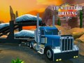 Jogo Sim de condução de 18 rodas  online