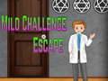Jogo Fuga de desafio suave Amgel  online