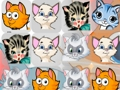 Jogo Jogo de gatinhos3  online