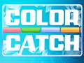 Jogo Captura de cores  online