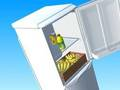 Jogo Encha a Geladeira  online