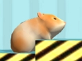 Jogo Hamster para confirmar  online