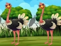 Jogo Encontre a etiqueta de avestruz  online