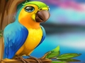 Jogo Fuga do Papagaio  online