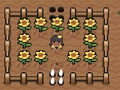 Jogo Vale Charlotte  online