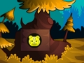 Jogo Fuga da Floresta Colorida 2  online
