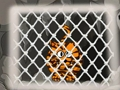Jogo Fuga do Tigre 1  online