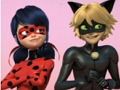 Jogo Quebra-cabeça Miraculous Ladybug & Cat Noir  online