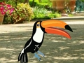 Jogo Encontrar par de pica-pau  online