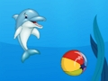 Jogo Show de golfinhos  online
