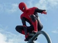 Jogo Guerreiro aranha  online