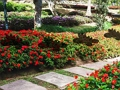 Jogo Fuga no Jardim da Fazenda de Folhas  online