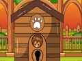 Jogo Fuga do Bernese Mountain Dog  online