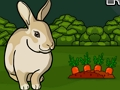 Jogo Salve o Coelho Cinzento  online