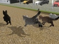 Jogo Correr Corrida de Gatos  online