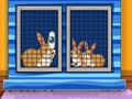 Jogo Encontre o kit de primeiros socorros para animais  online