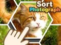 Jogo Classificar fotografia  online