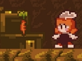 Jogo A Floresta Perdida  online