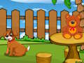 Jogo Fuga engraçada da iguana  online