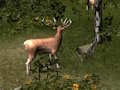 Jogo Sniper caçando animal mortal  online